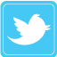 Twitter Inner Pages
